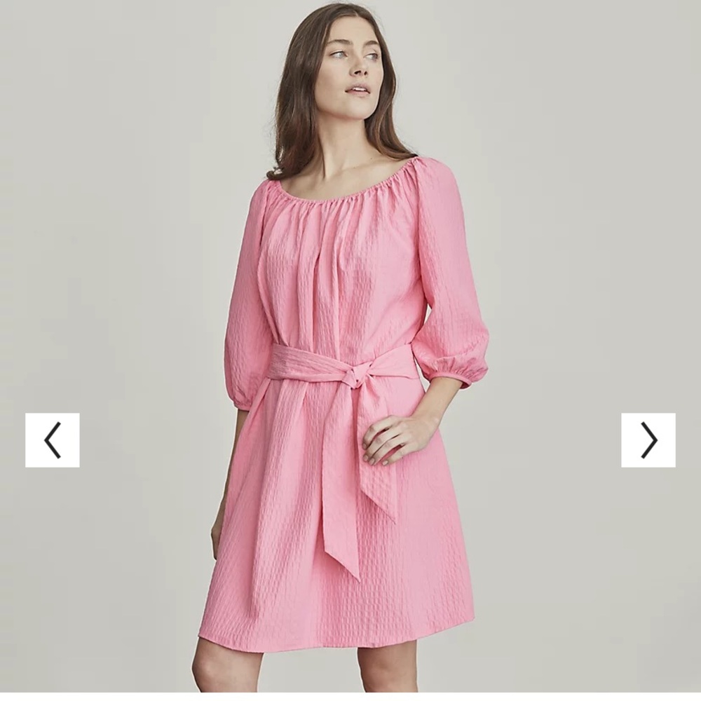 ELIZABETH AND JAMES belted dress in petunia blush